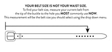 Load image into Gallery viewer, ValCo Brown Belt